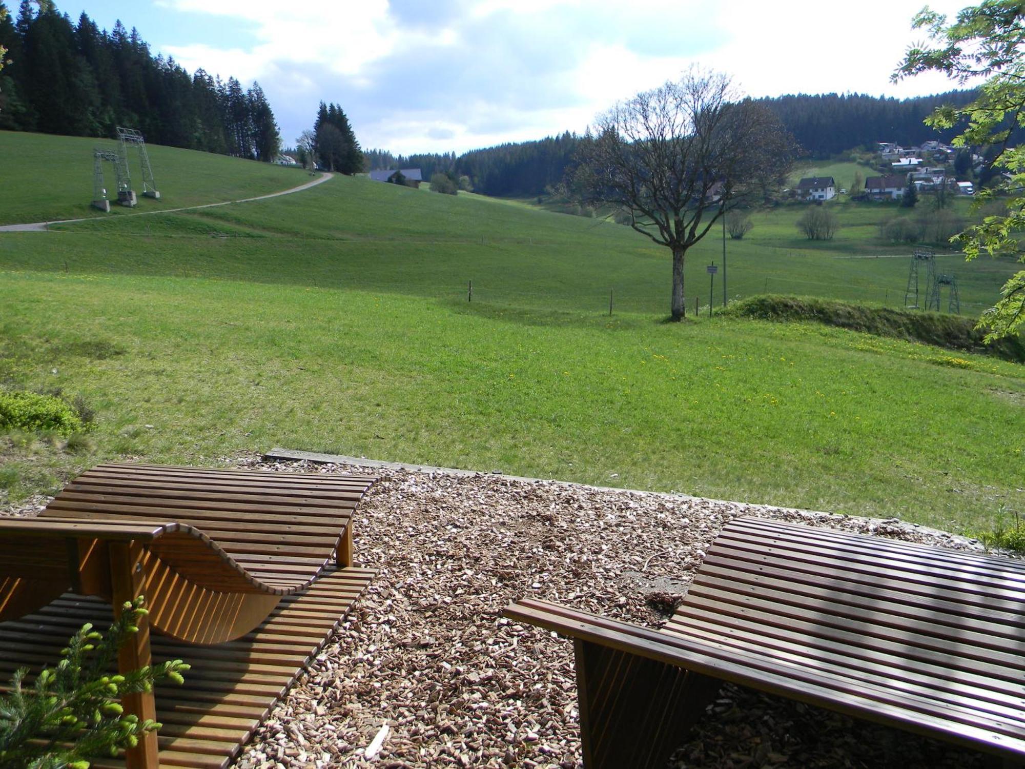 Schwarzwaldhaeuser 7 Schoenwald im Schwarzwald