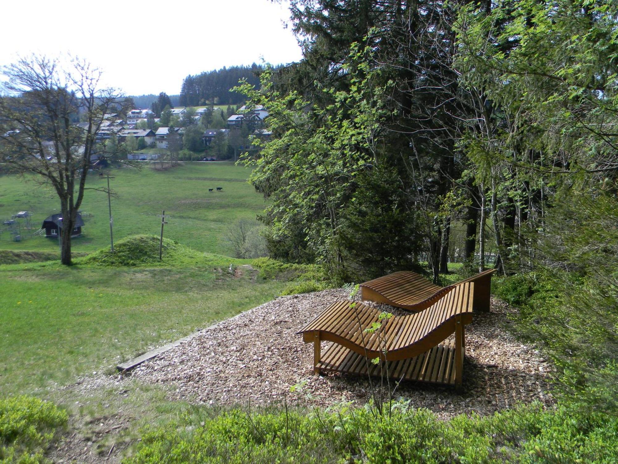Schwarzwaldhaeuser 7